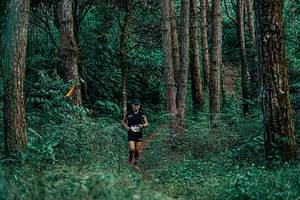 BIB: 
                            <button type="button" onclick="openModal(25236213)" class="btn btn-primary btn-sm float-right btn-popup" data-toggle="modal" data-target=".modal-high-quality">
                        <i class="fas fa-shopping-cart"></i> Add to Cart
                    </button>
                                            <button type="button" onclick="isThisMe(25236213, true)" class="btn btn-success btn-sm float-right btn-popup btn-isme hidden" data-toggle="tooltip" data-placement="bottom" title="นี่คือรูปของคุณใช่ไหม คลิกที่นี่เพื่อเอาเข้าอัลบั้ม">
                        <i class="fas fa-plus"></i> Add to album
                    </button>
                    <button type="button" onclick="isThisMe(25236213, false)" class="btn btn-warning btn-sm float-right btn-popup btn-isnotme hidden">
                        <i class="fas fa-ban"></i> Remove from album
                    </button>